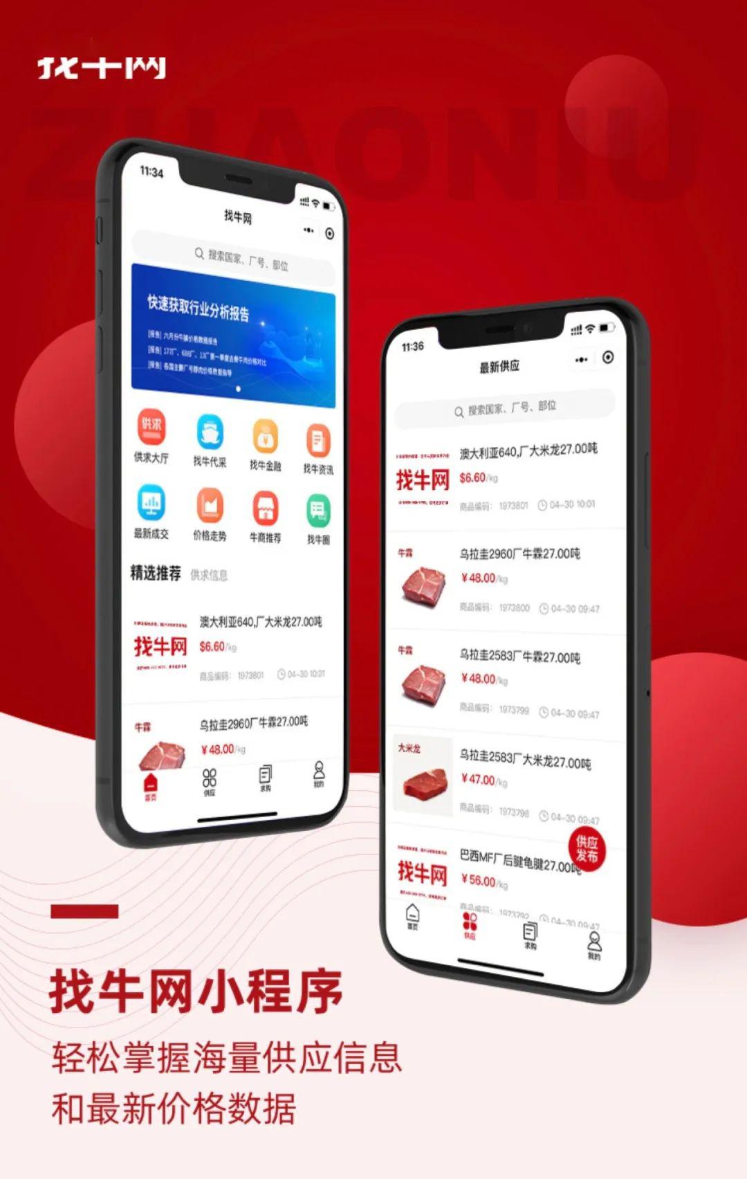 大红鹰官网登录 @开启尊享之门：大红鹰官网登录新体验